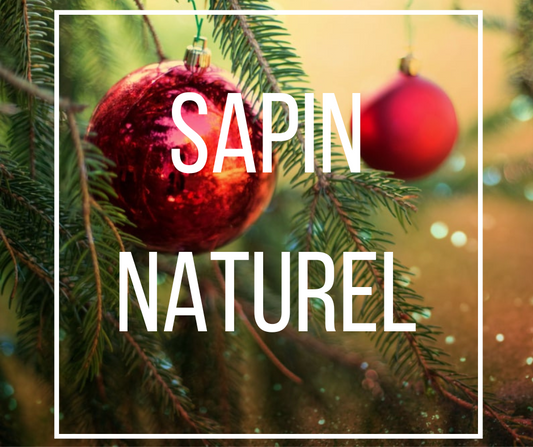 sapin naturel non cultivé